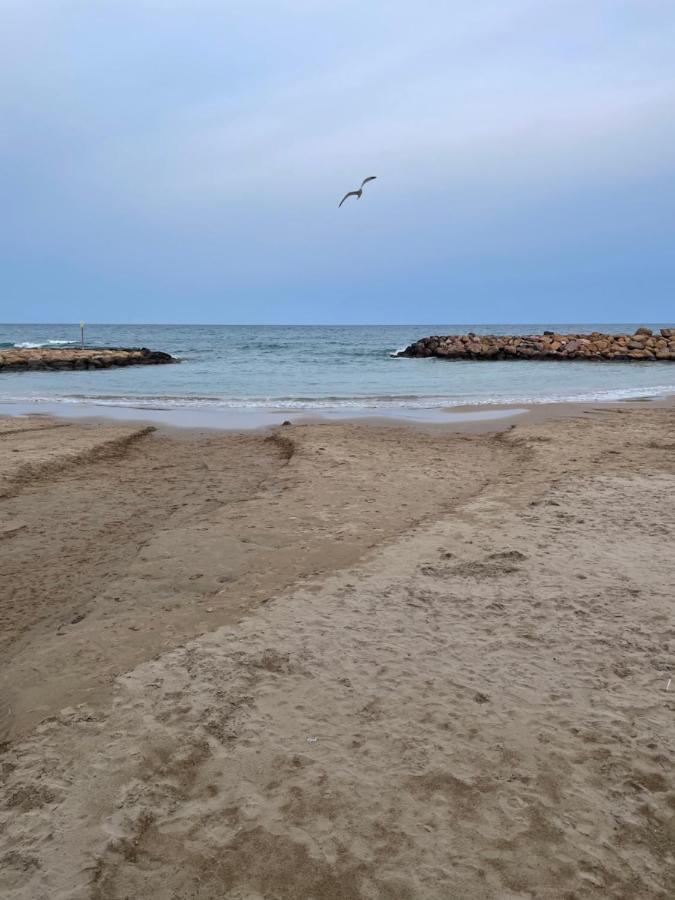 Au Coeur De Torreveija * Torrevieja